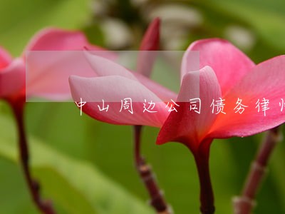 中山周边公司债务律师电话咨询 中山周边公司债务律师电话咨询