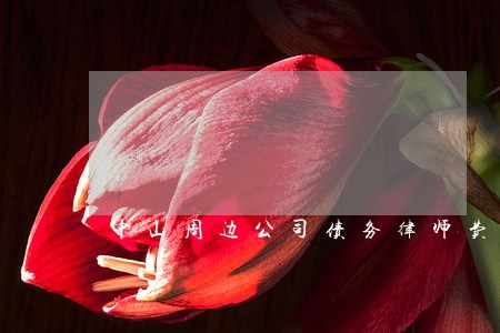 中山周边公司债务律师费用多少 中山周边公司债务律师费用多少