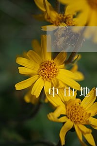 中山地区减刑律师收费标准 中山地区减刑律师收费标准