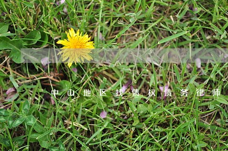 中山地区找债权债务律师多少钱 中山地区找债权债务律师多少钱