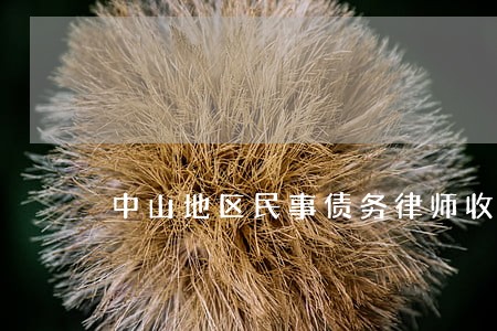 中山地区民事债务律师收费标准 中山地区民事债务律师收费标准