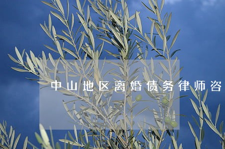 中山地区离婚债务律师咨询免费 中山地区离婚债务律师咨询免费
