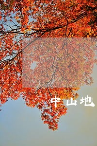 中山地区请民事债务纠纷律师 中山地区请民事债务纠纷律师
