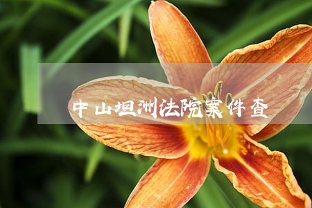 中山坦洲法院案件查 中山坦洲法院案件查