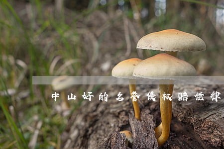中山好的名誉侵权赔偿律师 中山好的名誉侵权赔偿律师