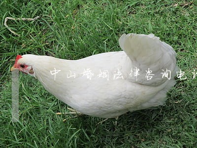 中山婚姻法律咨询电话 中山婚姻法律咨询电话