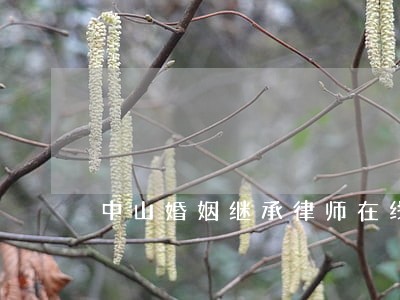 中山婚姻继承律师在线 中山婚姻继承律师在线