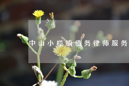 中山小榄镇债务律师服务 中山小榄镇债务律师服务