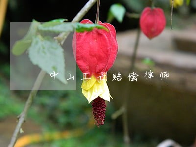 中山工亡赔偿律师 中山工亡赔偿律师