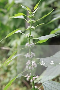 中山工伤赔付律师热线电话 中山工伤赔付律师热线电话