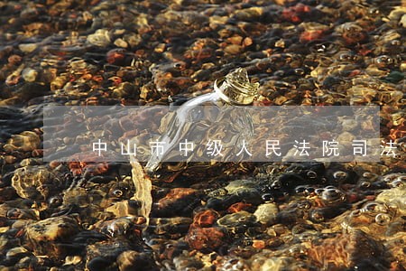 中山市中级人民法院司法拍卖网 中山市中级人民法院司法拍卖网