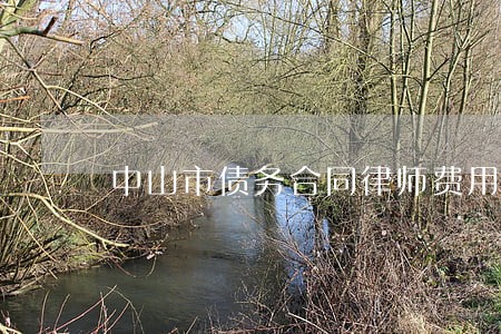 中山市债务合同律师费用 中山市债务合同律师费用