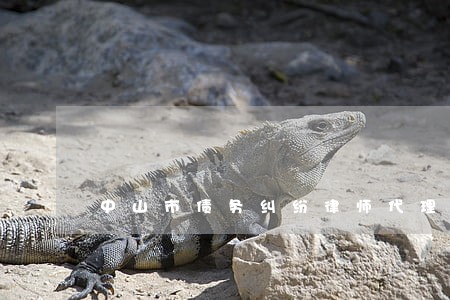 中山市债务纠纷律师代理费 中山市债务纠纷律师代理费