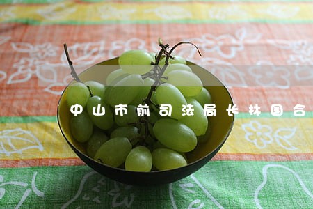 中山市前司法局长林国合 中山市前司法局长林国合
