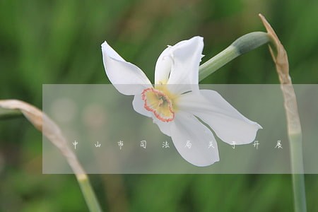 中山市司法局关于开展 中山市司法局关于开展