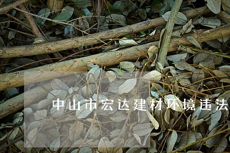 中山市宏达建材环境违法