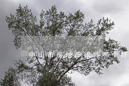 中山市房地产律师哪个好 中山市房地产律师哪个好