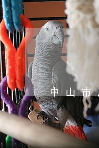 中山市房屋租赁纠纷律师 中山市房屋租赁纠纷律师