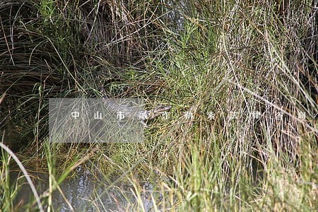 中山市敲诈勒索法律咨询 中山市敲诈勒索法律咨询