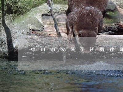 中山市欠债不还案律师费怎么算 中山市欠债不还案律师费怎么算