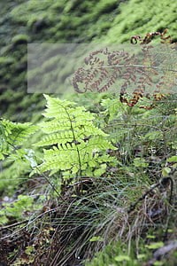 中山市正规法律咨询律师 中山市正规法律咨询律师