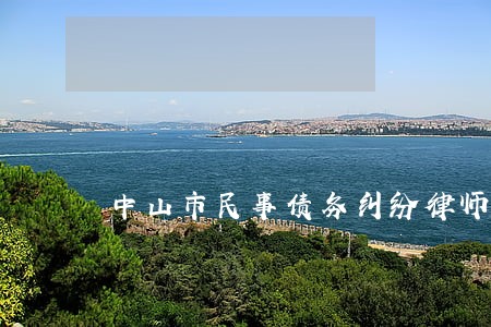 中山市民事债务纠纷律师哪个好 中山市民事债务纠纷律师哪个好