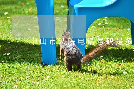 中山市法院电话号码是多少 中山市法院电话号码是多少