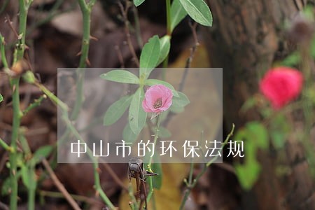 中山市的环保法规 中山市的环保法规