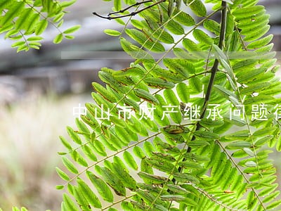 中山市财产继承问题律师 中山市财产继承问题律师