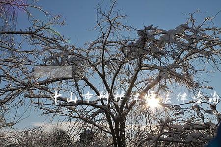 中山市辩护律师法律咨询 中山市辩护律师法律咨询