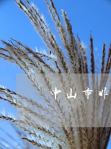 中山市非法债务律师费用 中山市非法债务律师费用