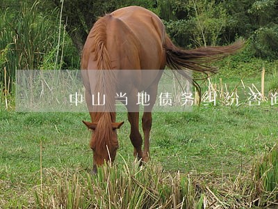 中山当地债务纠纷咨询律师团队
