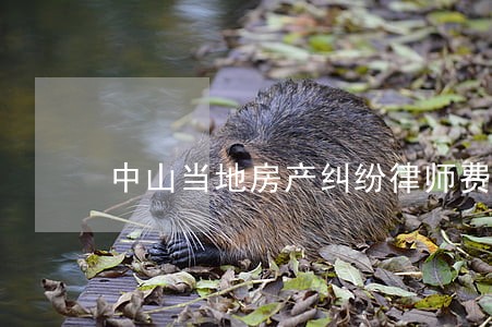 中山当地房产纠纷律师费用 中山当地房产纠纷律师费用