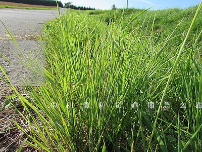 中山微粒贷逾期怎么跟银行协商 中山微粒贷逾期怎么跟银行协商