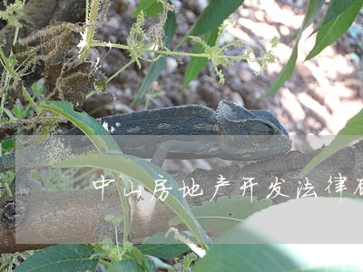 中山房地产开发法律顾问 中山房地产开发法律顾问