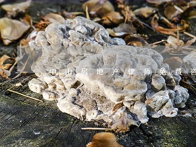 中山房地产律师免费咨询 中山房地产律师免费咨询
