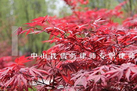 中山找债务律师专职律师 中山找债务律师专职律师