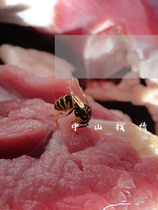 中山找债权债务律师一般怎么收费 中山找债权债务律师一般怎么收费