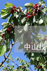 中山找债权债务律师咨询网站 中山找债权债务律师咨询网站
