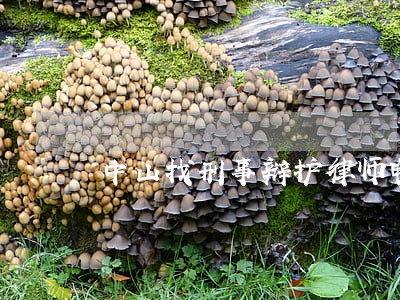 中山找刑事辩护律师电话咨询 中山找刑事辩护律师电话咨询