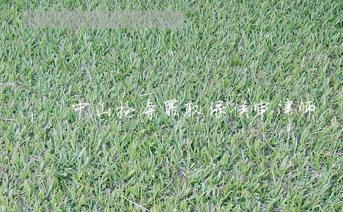 中山抢夺罪取保候审律师 中山抢夺罪取保候审律师