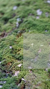 中山推出法规不准卖格子铺 中山推出法规不准卖格子铺
