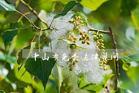 中山有免费法律顾问 中山有免费法律顾问