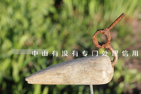 中山有没有专门处理信用卡逾期 中山有没有专门处理信用卡逾期