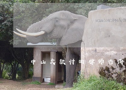 中山欠款讨回律师咨询网站 中山欠款讨回律师咨询网站