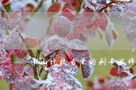 中山比较专业的刑事案件律师 中山比较专业的刑事案件律师