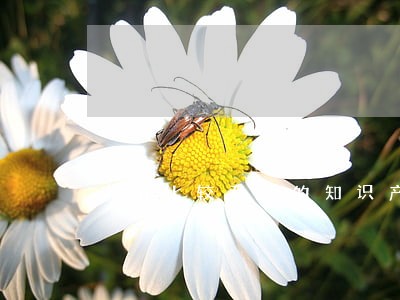中山比较专业的知识产权律师 中山比较专业的知识产权律师