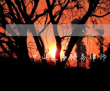 中山民事债务律师电话咨询 中山民事债务律师电话咨询