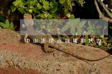 中山法律咨询援助代办 中山法律咨询援助代办