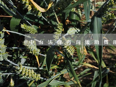中山法律咨询援助费用 中山法律咨询援助费用